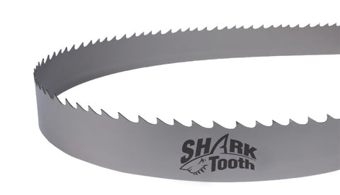 Sharktooth mako