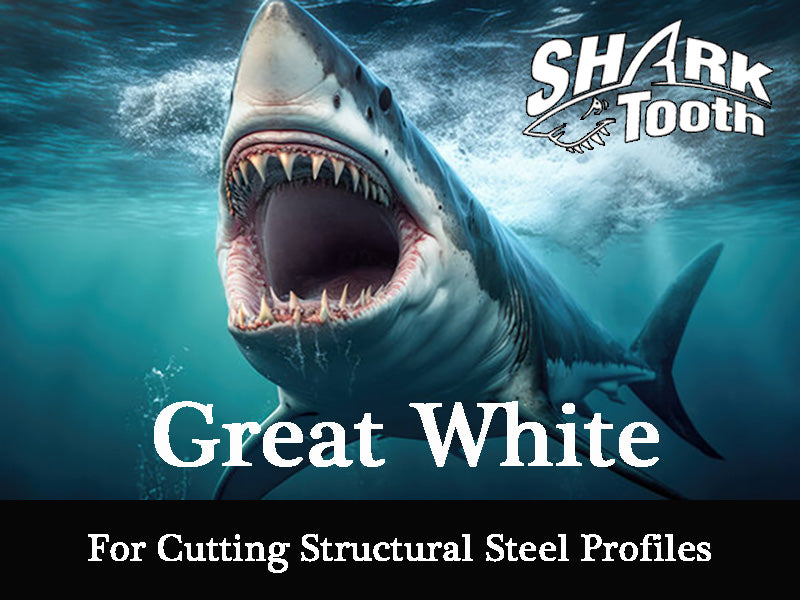 Shark tooth great white