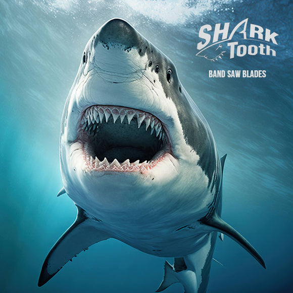 Sharktooth mobile banner